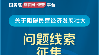 美女被大鸡巴插国务院“互联网+督查”平台公开征集阻碍民营经济发展壮大问题线索